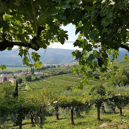 Agriturismo Valentina Cubi Fumane Exterior foto